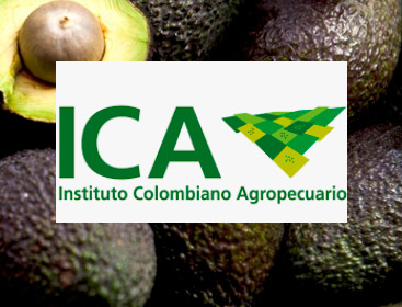Registro de Planta Empacadora