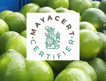 Certificado Mayacert