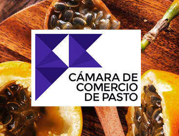Certificado Camara de Comercio